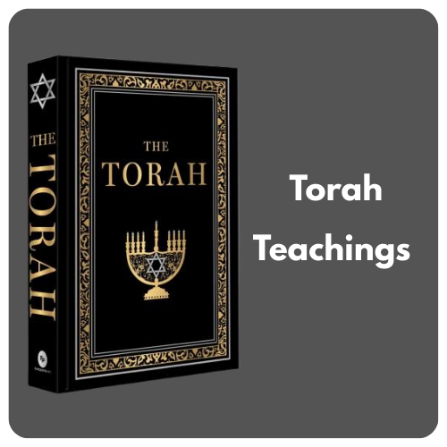 Torah Teachings Logo